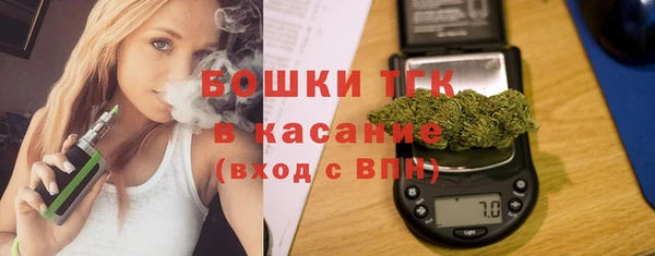 сатива Богородицк