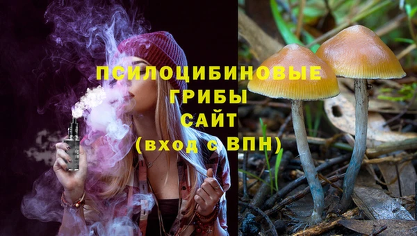 первитин Богородск