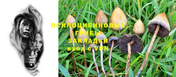 сатива Богородицк