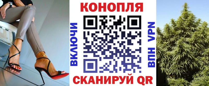 купить наркотик  Козьмодемьянск  Бошки марихуана семена 